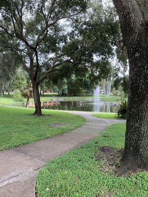 Property grounds