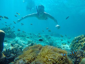 Exterior - Breezy Andaman (Kathu)