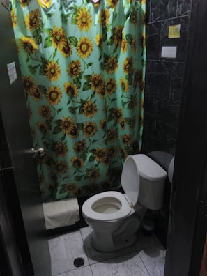 Shower, towels, toilet paper