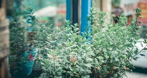 A view through a window with green plants and a blue pillar. - Pi's Boutique Hotel (Sa Pa)