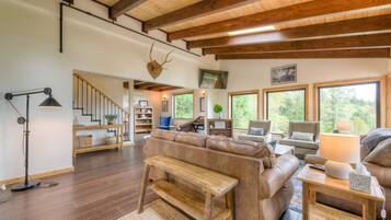 智能电视、壁炉、DVD 播放器、书