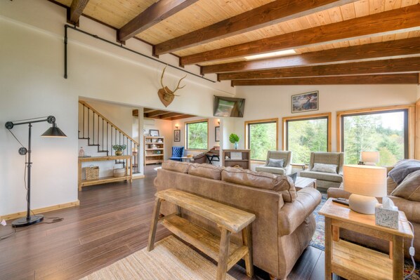 TV connectée, cheminée, lecteur de DVD, livres