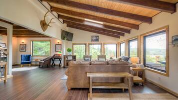 智能电视、壁炉、DVD 播放器、书