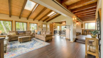 智能电视、壁炉、DVD 播放器、书