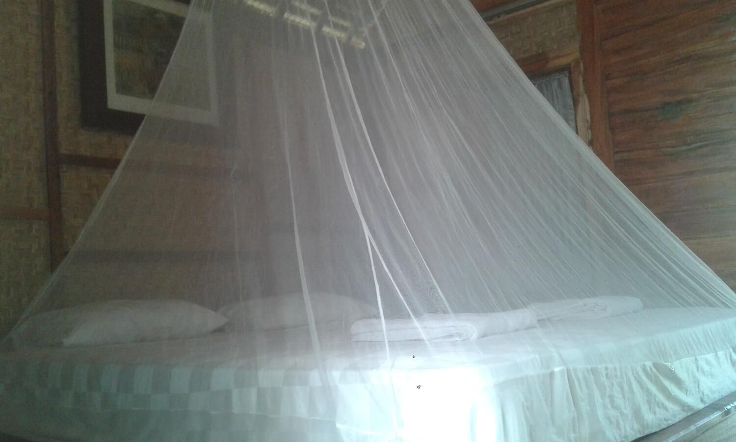 A bed with a mosquito net.