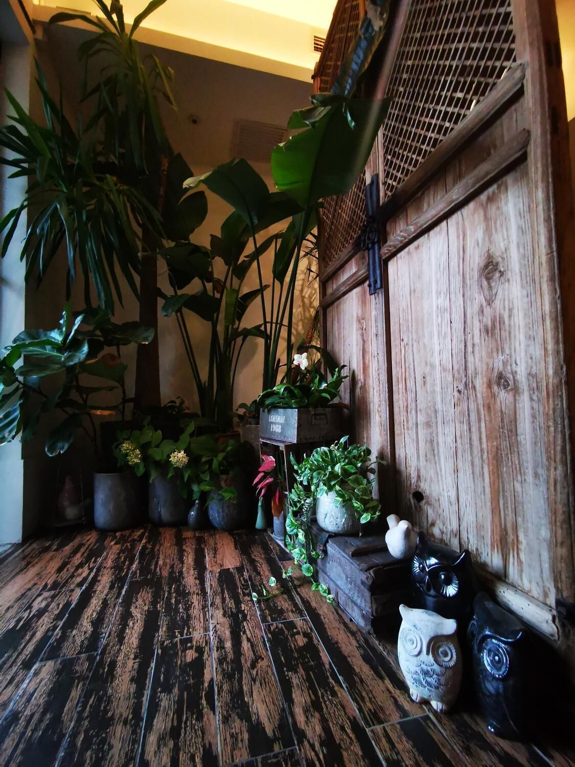 Photo - Beijing Shangchao Hotel