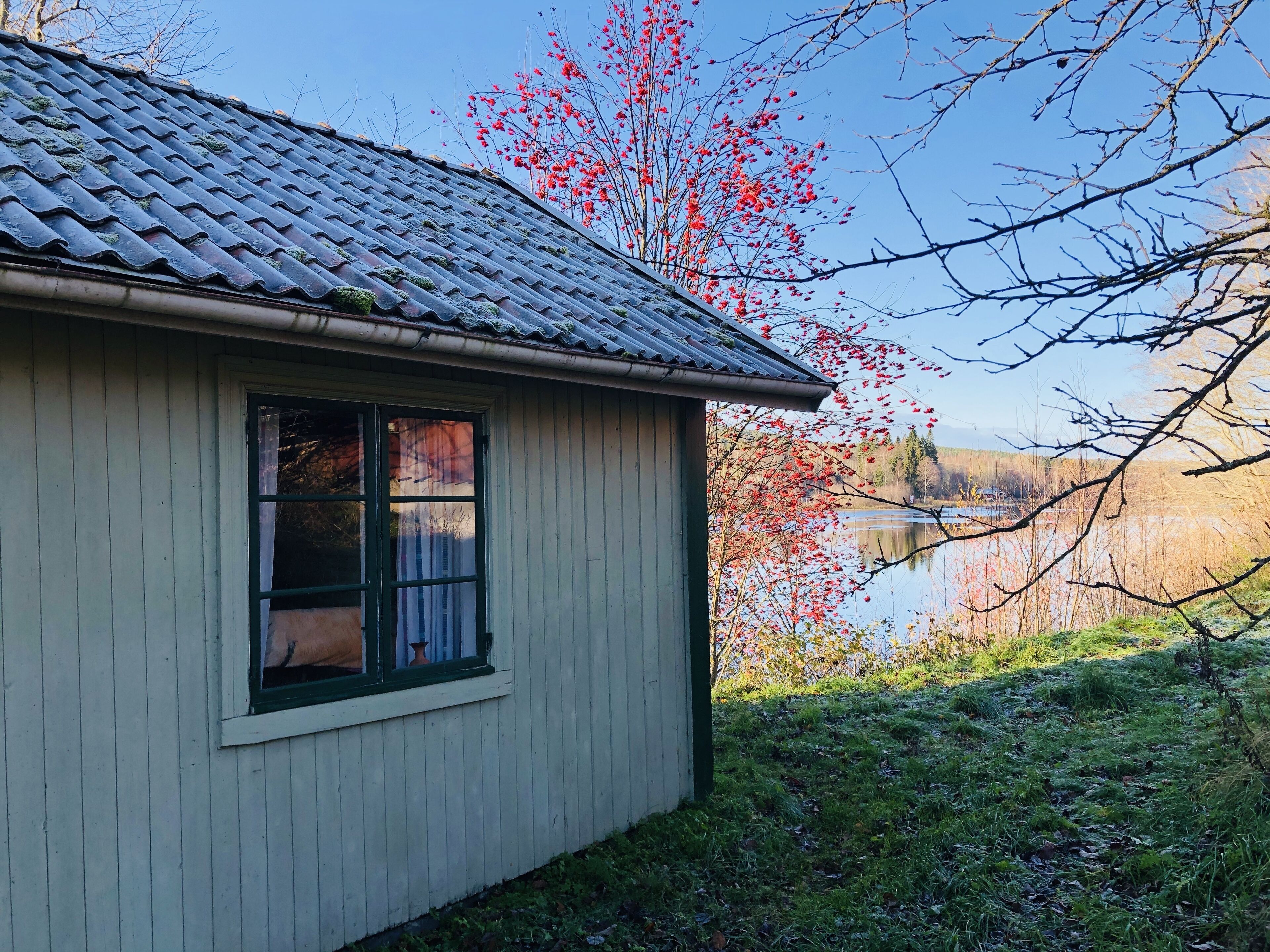 Cottage | Property grounds
