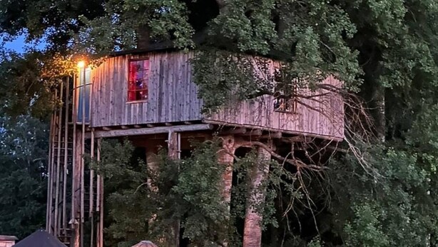 A treehouse with a wooden exterior, surrounded by dense foliage. - Tranquil Lakeside Cottage Retreat (Avesta)