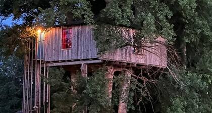 Tranquil Lakeside Cottage Retreat