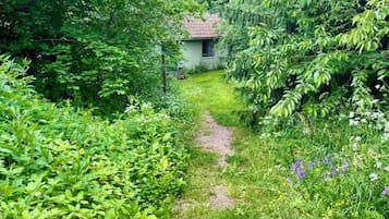 Cottage | Property grounds