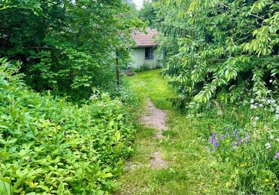Tranquil Lakeside Cottage Retreat