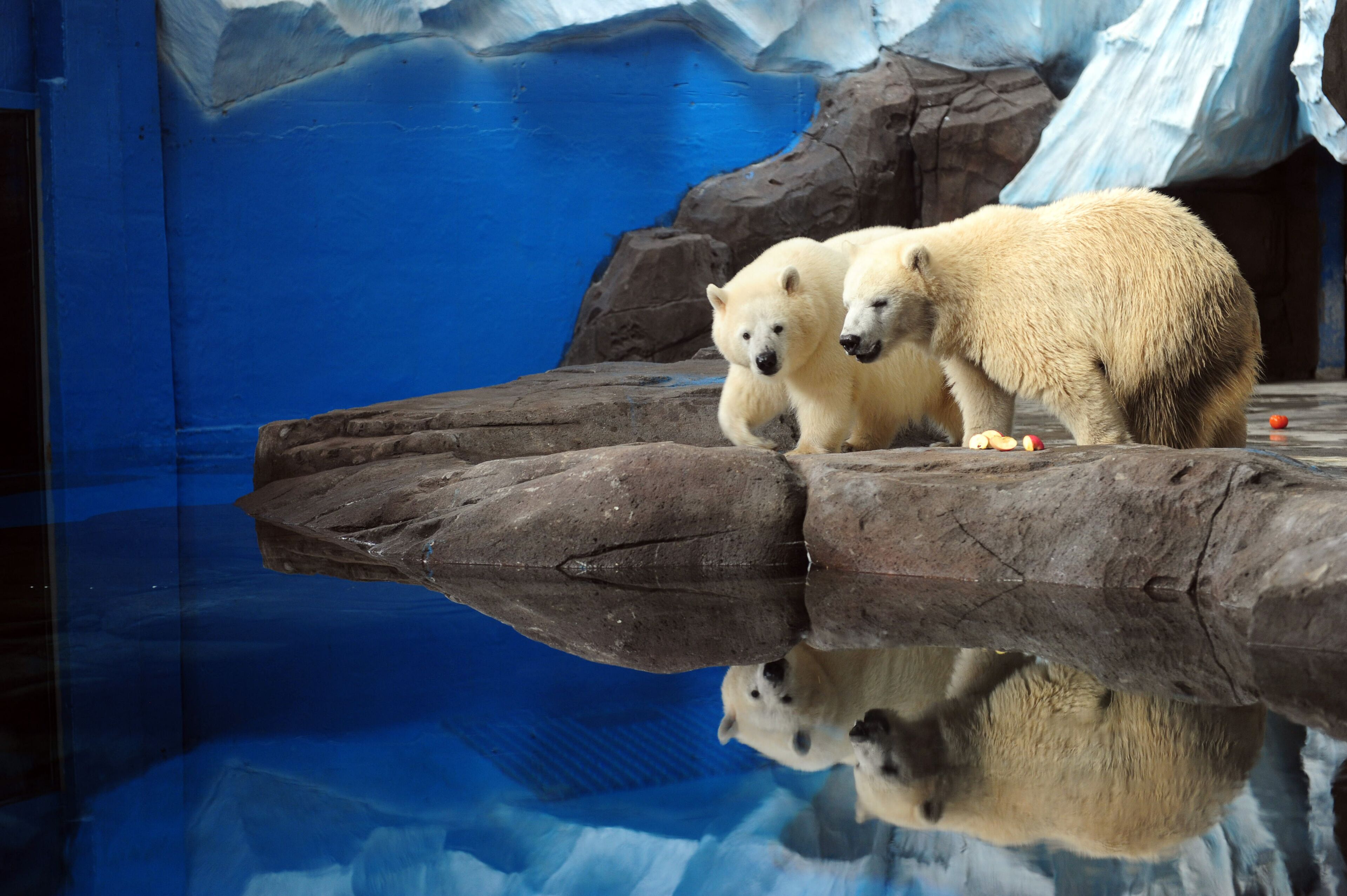 Photo - Wuhan Marriott Hotel Hankou