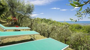 A serene outdoor seating area with green tables and chairs, surrounded by lush greenery and overlooking a scenic view. - Beautiful private villa for 5 people with WIFI, TV, patio and pets allowed, close to Viareggio (Camaiore)