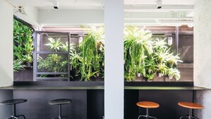 A modern bar area with two stools, a counter, and a variety of potted plants. - Loyy Hotel - Hostel (Chiang Mai)