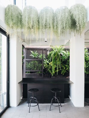 A modern interior with hanging plants, a black counter, and two stools. - Loyy Hotel - Hostel (Chiang Mai)
