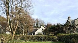 A grassy area with a white building, a tree, and a hedge. - Calluna Cottage -  a cottage that sleeps 7 guests  in 3 bedrooms (Dalbeattie)