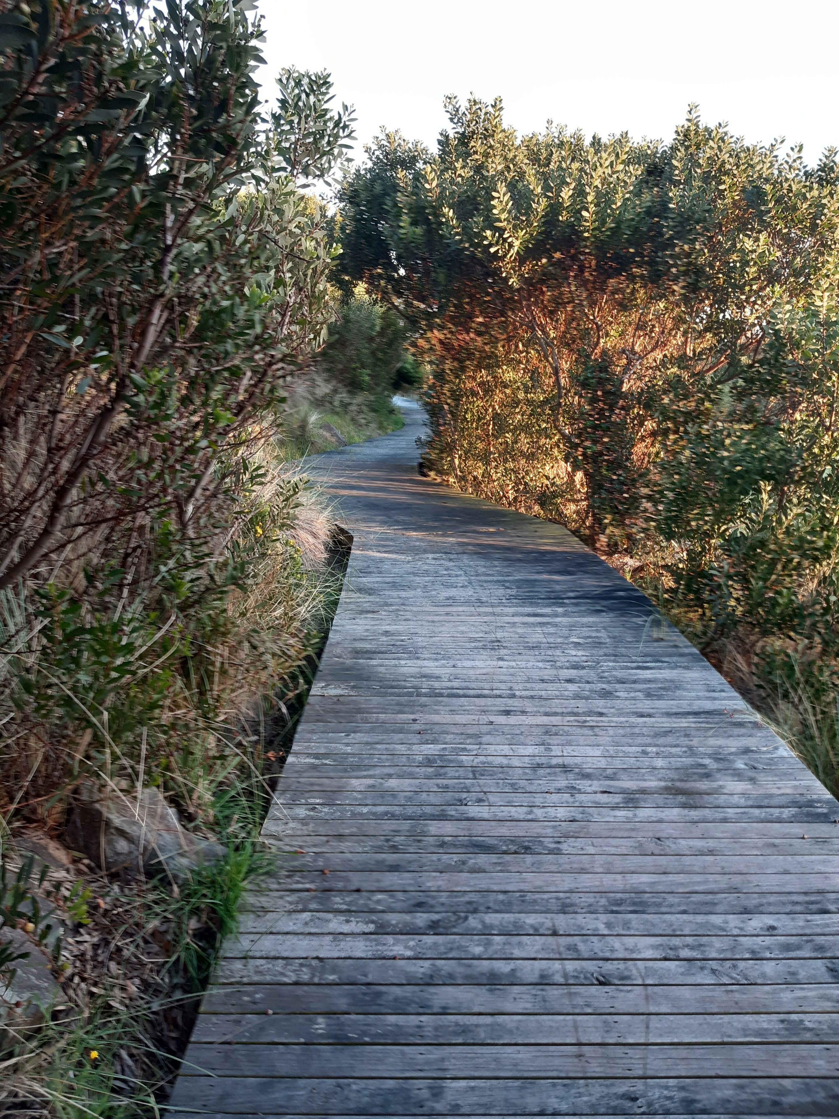 Sandpiper Beach House — image 25