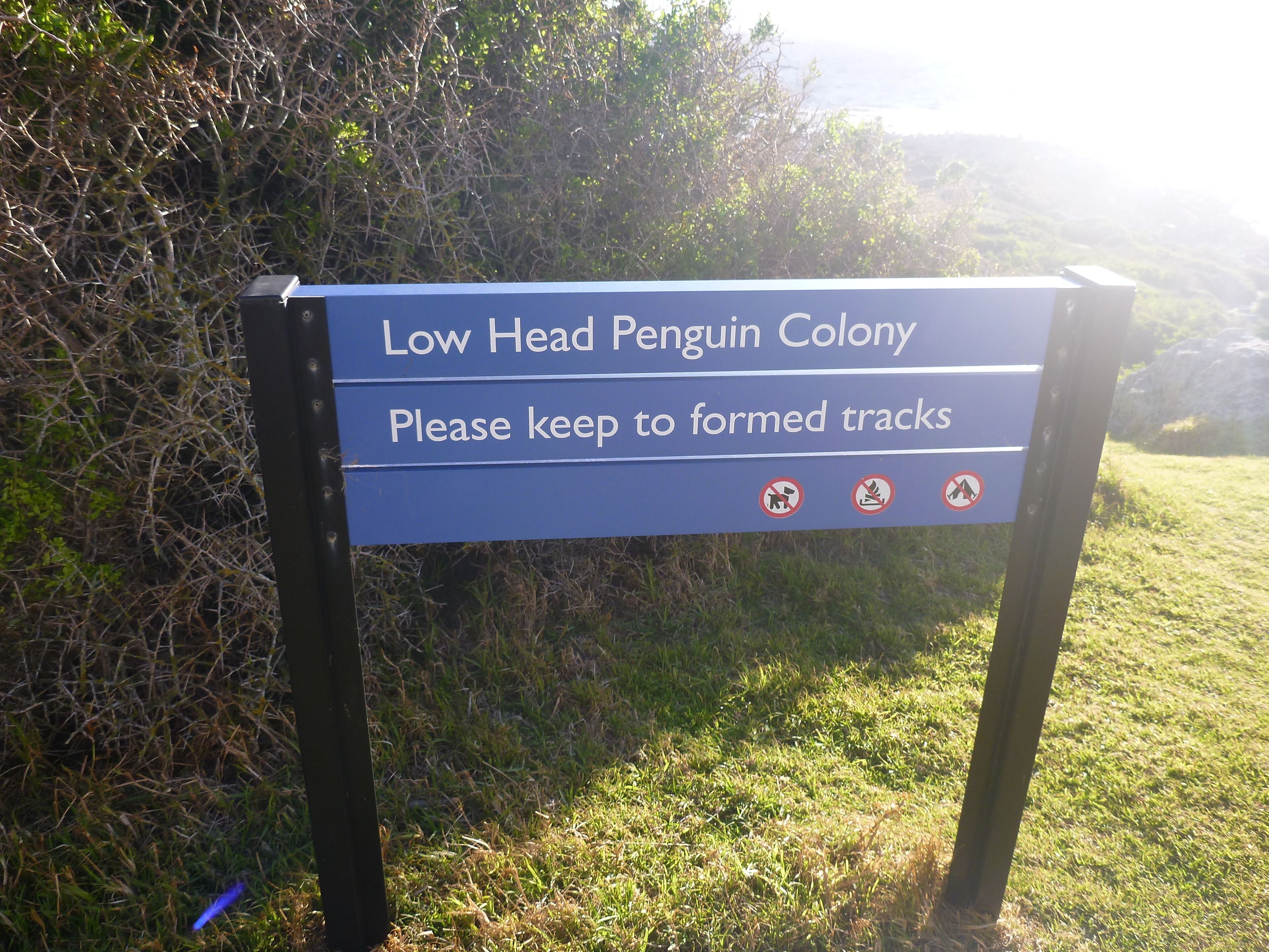 Sandpiper Beach House — image 26