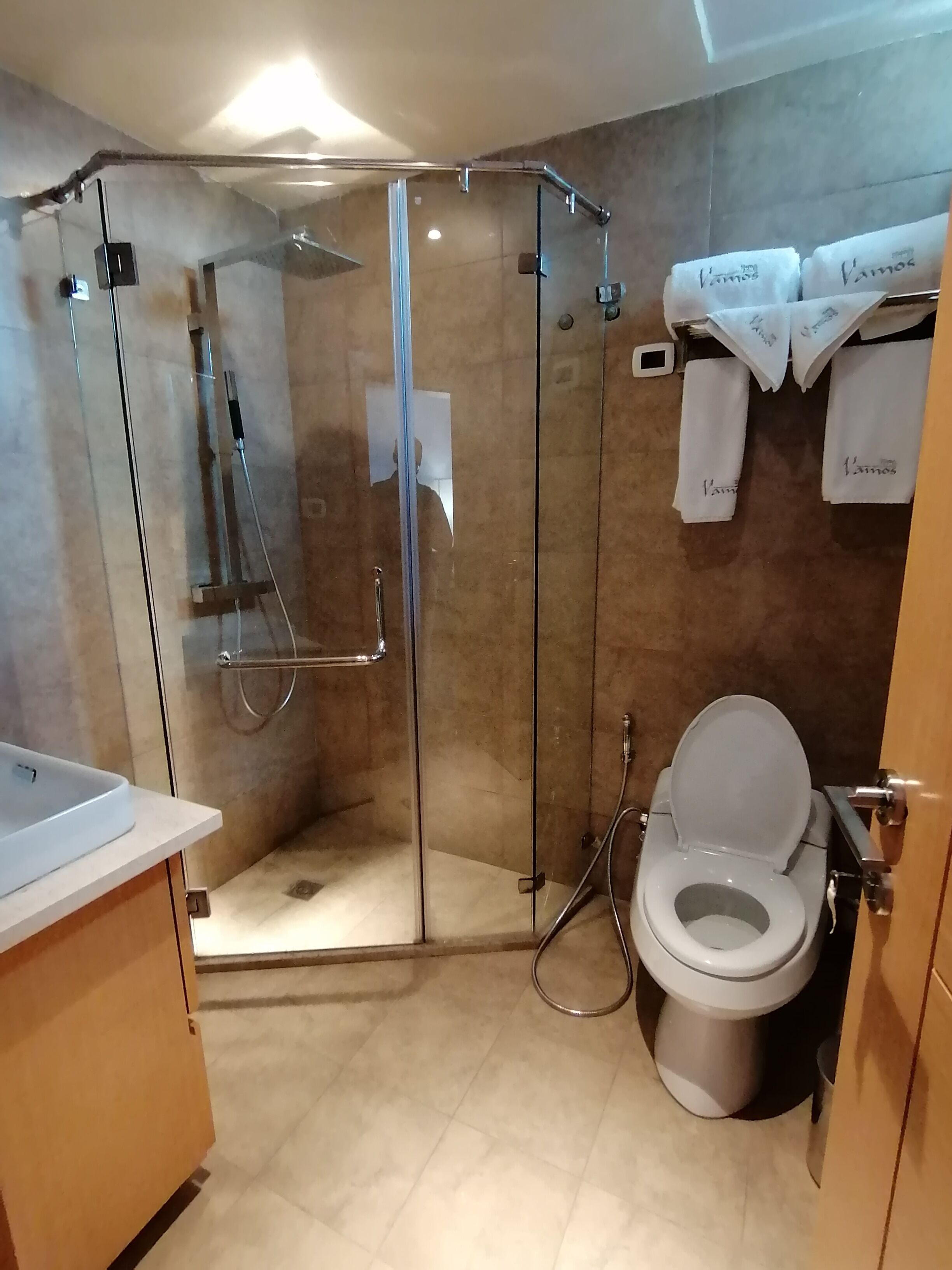 A modern bathroom with a glass-enclosed shower, a toilet, and a sink.
