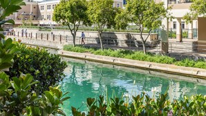 A modern building with balconies, a swimming pool, and greenery. - 001 Altmore on the Waterfront Marina (Cape Town)