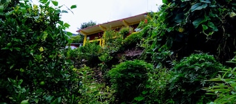 Himalayan View,Chirpy Morning