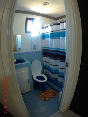Ducha, toallas, papel higiénico