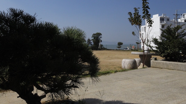 A coastal area with a concrete pathway, a small tree, and a white building in the background. - Hai Bin Minsu (Jinning)