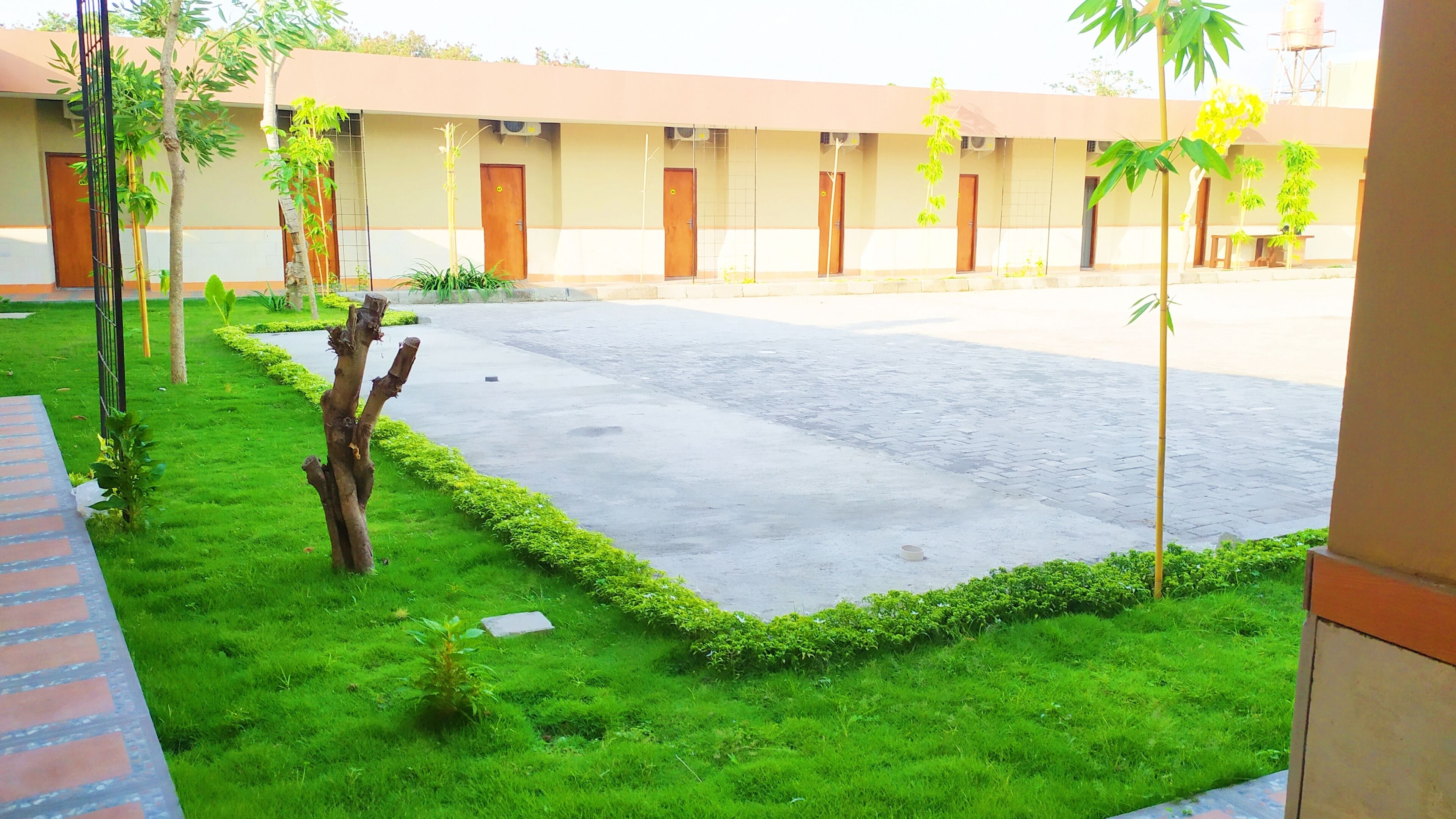 A courtyard with a paved area, green grass, and a building with multiple doors and windows.
