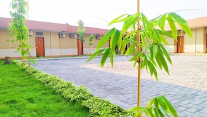 A courtyard with a paved walkway, green grass, and bamboo plants. - Griya Alisha (Sleman)