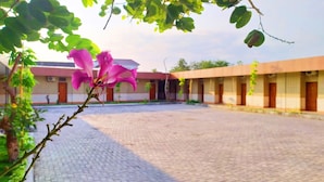 A courtyard with a paved floor, a building with multiple rooms, and a pink flower in the foreground. - Griya Alisha (Sleman)