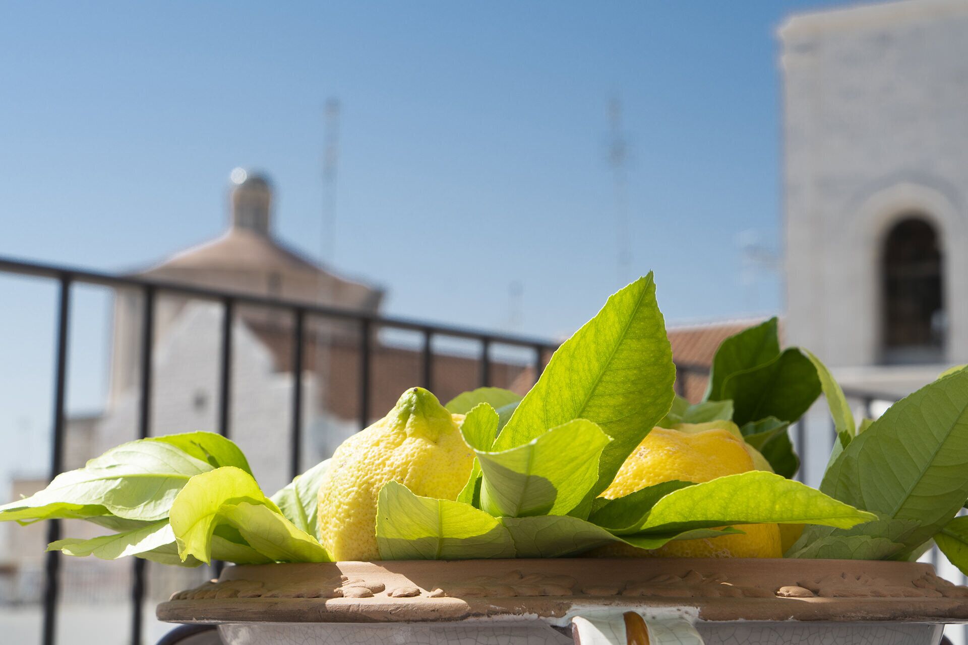 Foto - Quintessenza Luxury Domus