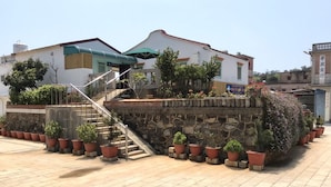 Un bâtiment doté d’un escalier menant à une zone abritée, entouré de plantes en pot et d’un mur de pierre.