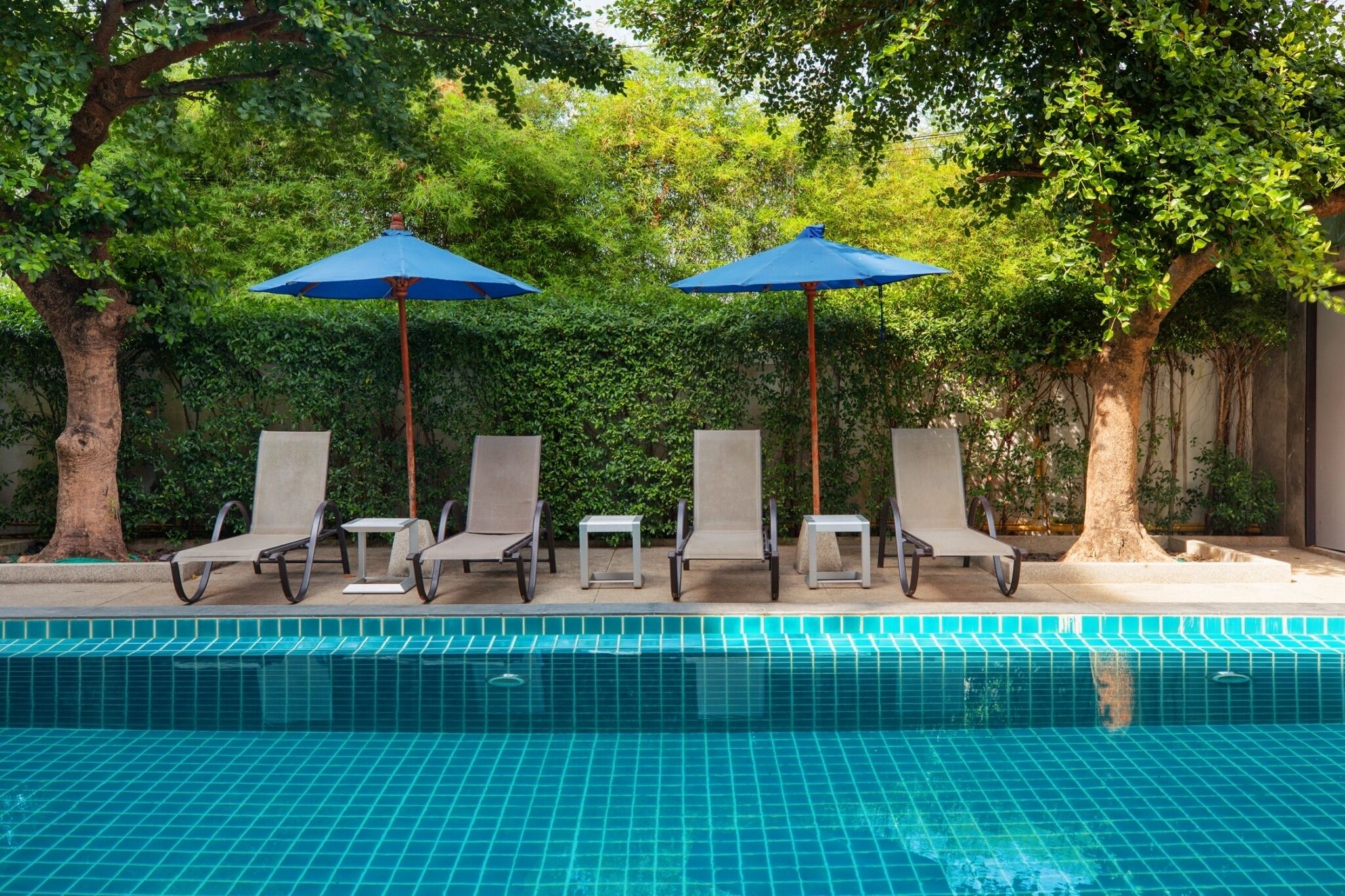 A swimming pool with lounge chairs and umbrellas, surrounded by trees.