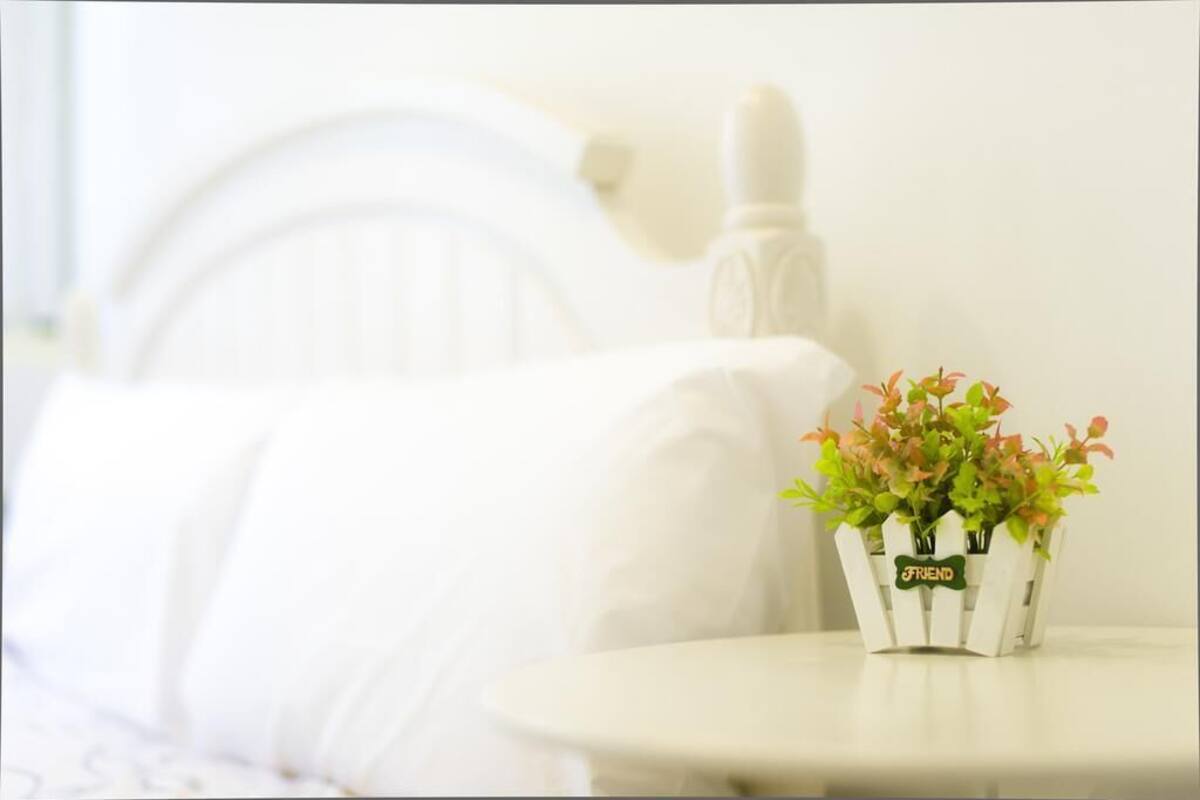 Un lit blanc avec une tête de lit, une petite table blanche sur laquelle est posée une plante en pot étiquetée « AMI ».