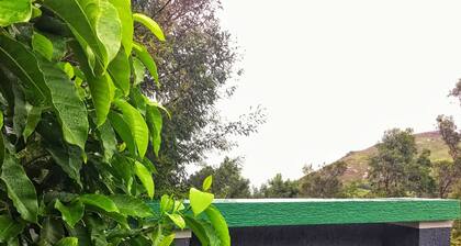 La Niebla Farm Resort