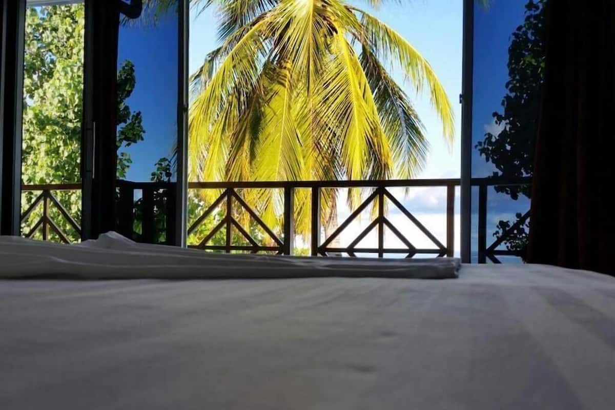 Deluxe Room | View from room