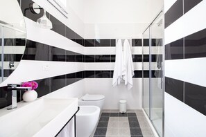 Shower, hair dryer, bidet, towels