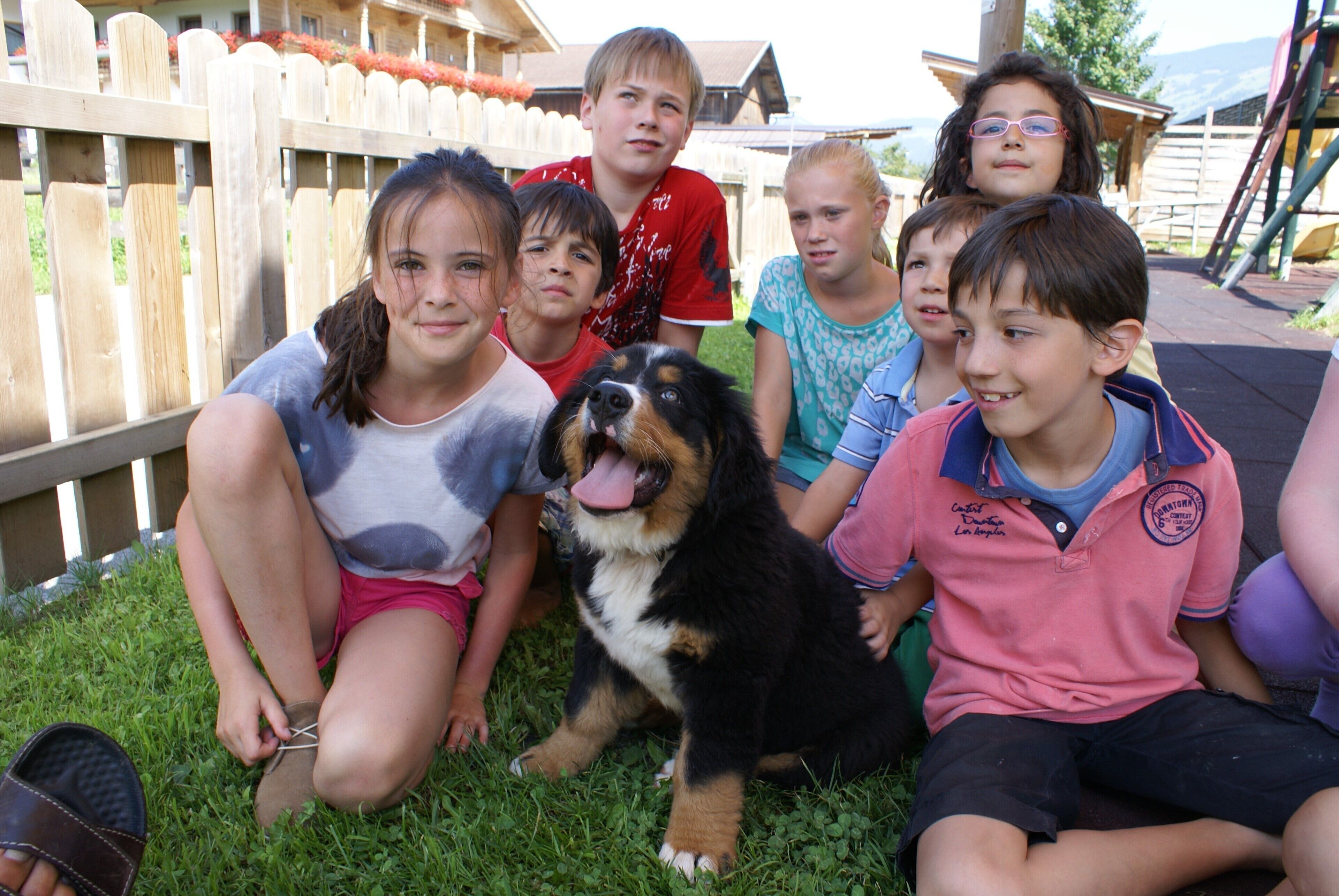 A group of children and a dog sitting on grass with a wooden fence in the background.