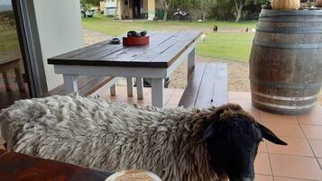 Daily English breakfast for a fee