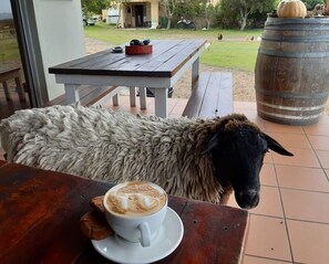每日付費供應英式早餐