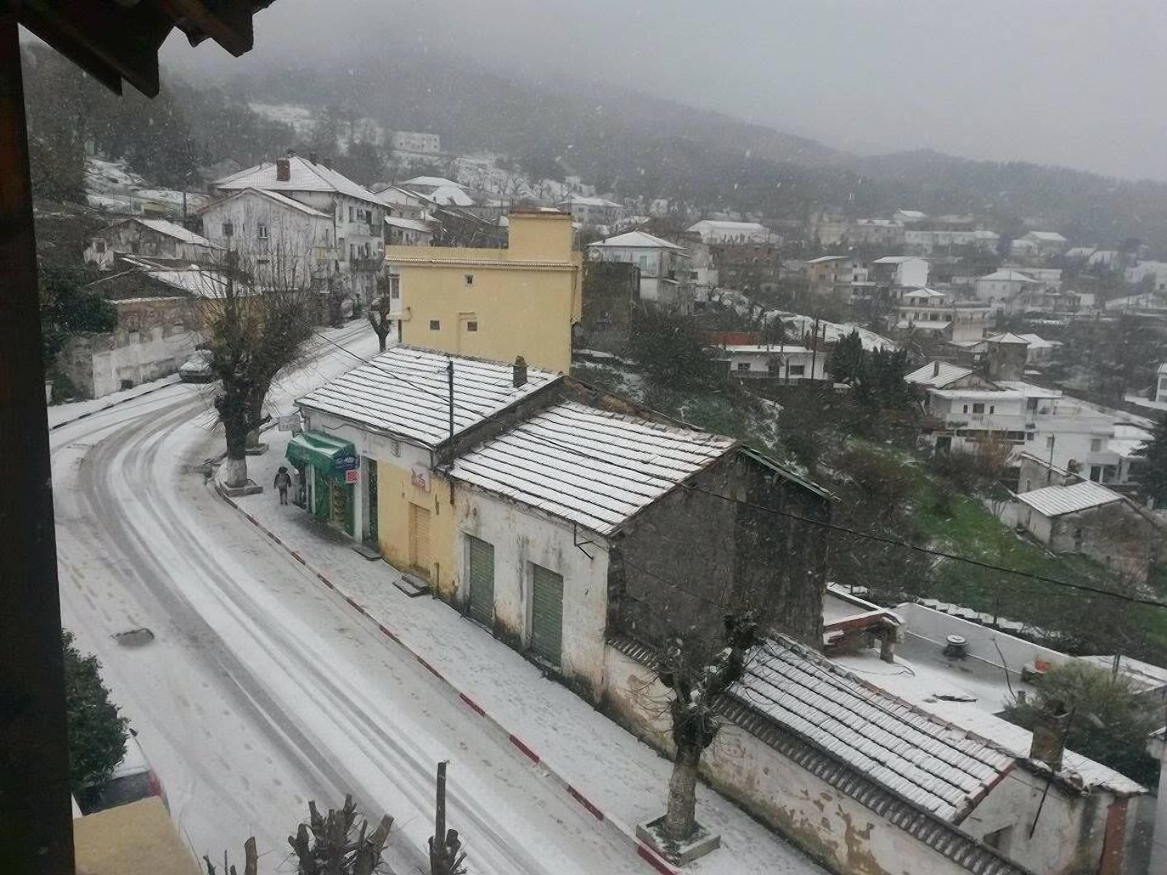 A snowy residential area with houses and a road.