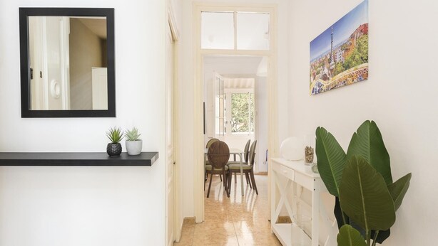 Un pasillo con un espejo de marco negro, una consola blanca con plantas en macetas, un comedor con sillas y una planta verde grande.