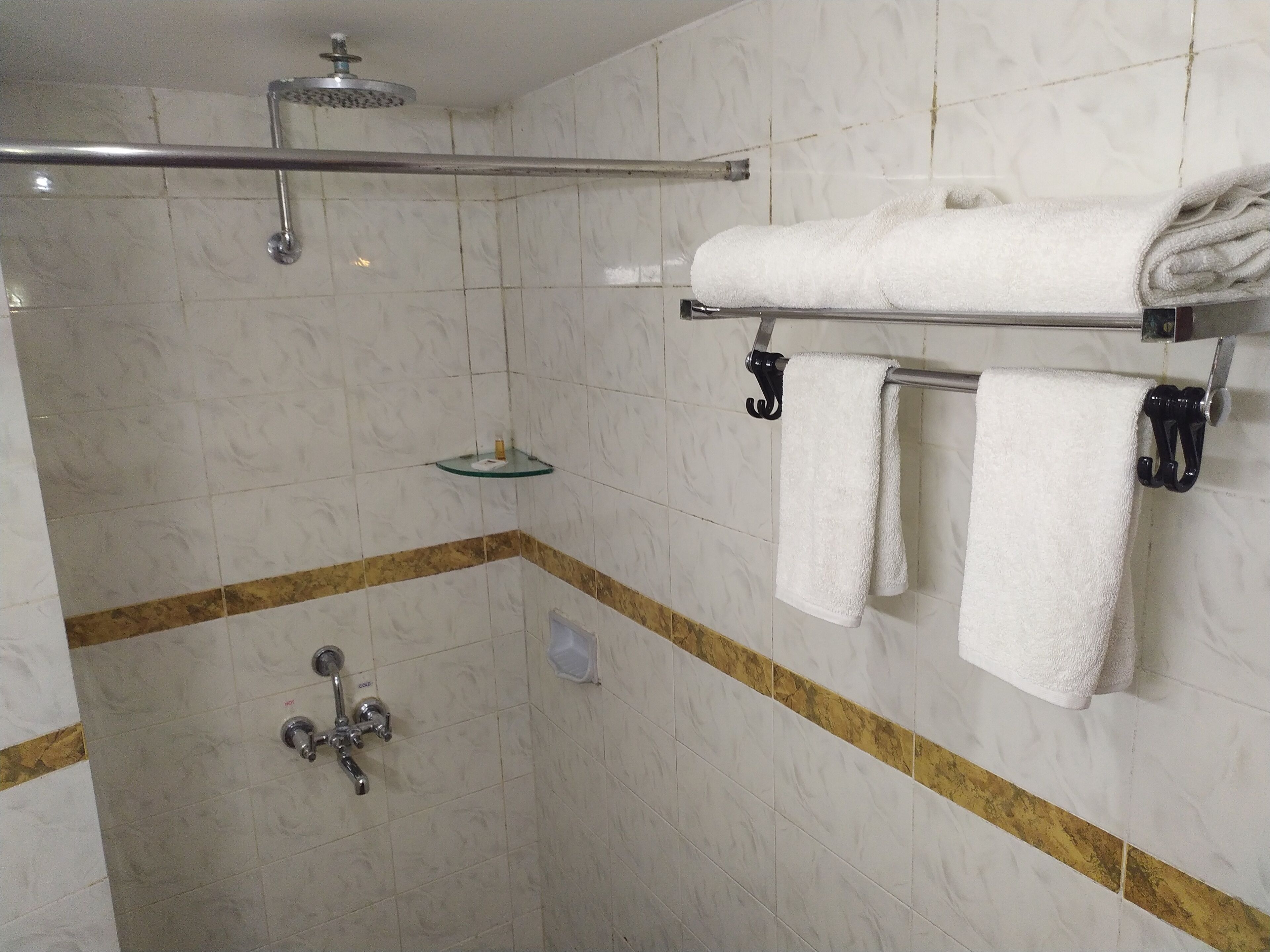 A shower area with a glass shelf, a towel rack with towels, and a showerhead.