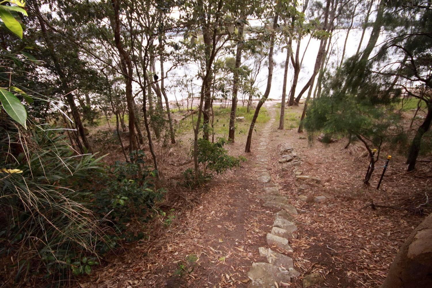 Un sendero arbolado con una escalera de piedra que asciende.