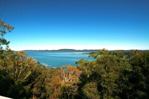 A coastal landscape with dense forest in the foreground and a clear blue sea in the background. - Berringar (Green Point)