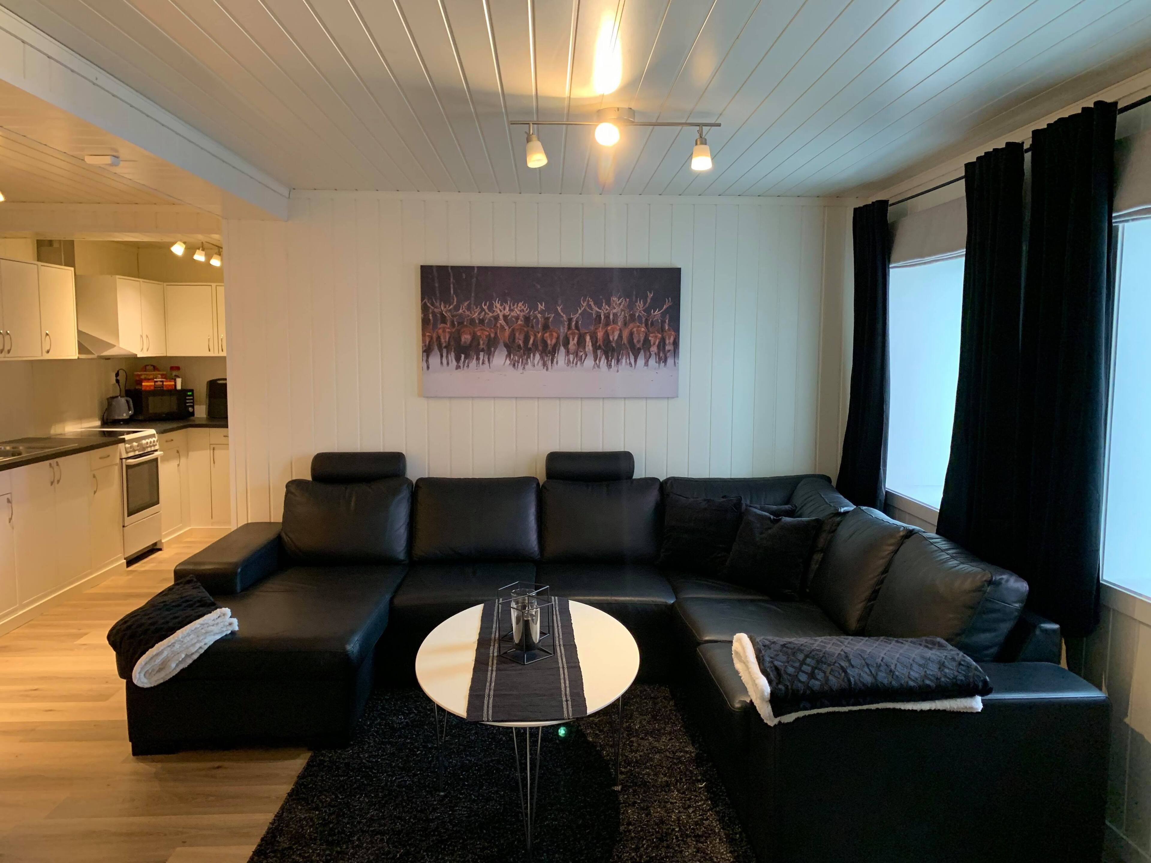 Notodden Sentrum Apartment No 1
