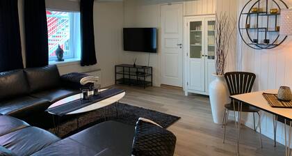 Notodden Sentrum Apartment No 1