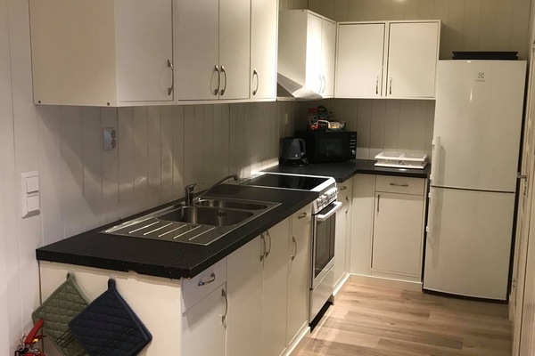 Apartment | Private kitchen | Full-size fridge, microwave, oven, stovetop