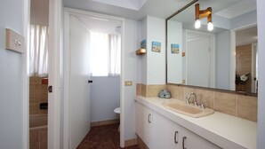 A bathroom with a sink, mirror, and a shower area. - Pinnacle Unit 403 (Forster)
