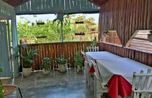 Terraza o patio
